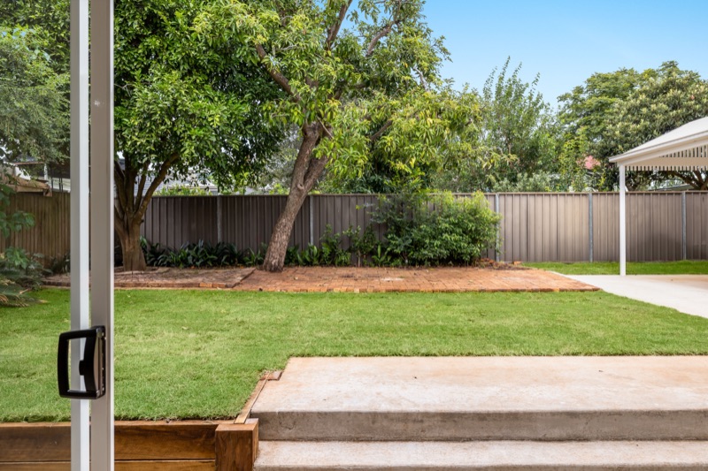Back yard and rear patio